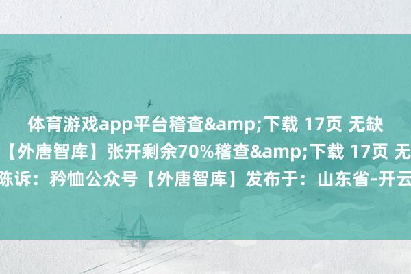 体育游戏app平台稽查&下载 17页 无缺PDF陈诉