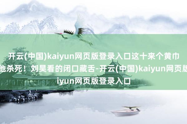 开云(中国)kaiyun网页版登录入口这十来个黄巾贼全部被他