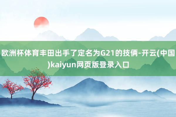 欧洲杯体育丰田出手了定名为G21的技俩-开云(中国)kaiy