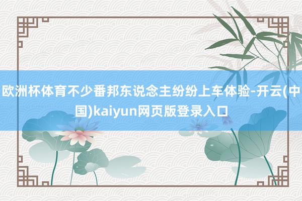 欧洲杯体育不少番邦东说念主纷纷上车体验-开云(中国)kaiy