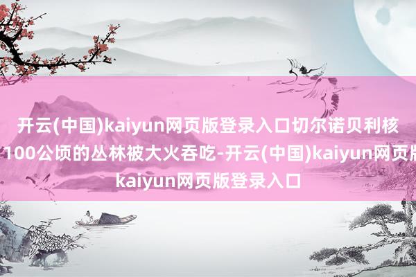开云(中国)kaiyun网页版登录入口切尔诺贝利核禁区朝上1100公顷的丛林被大火吞吃-开云(中国)kaiyun网页版登录入口