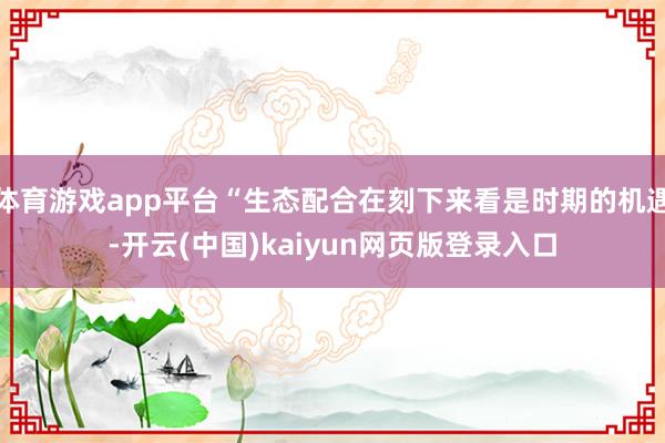 体育游戏app平台“生态配合在刻下来看是时期的机遇-开云(中国)kaiyun网页版登录入口
